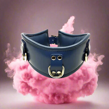 Leather Padded Posture Collar - Blue Fetish My Amazing Fantasy